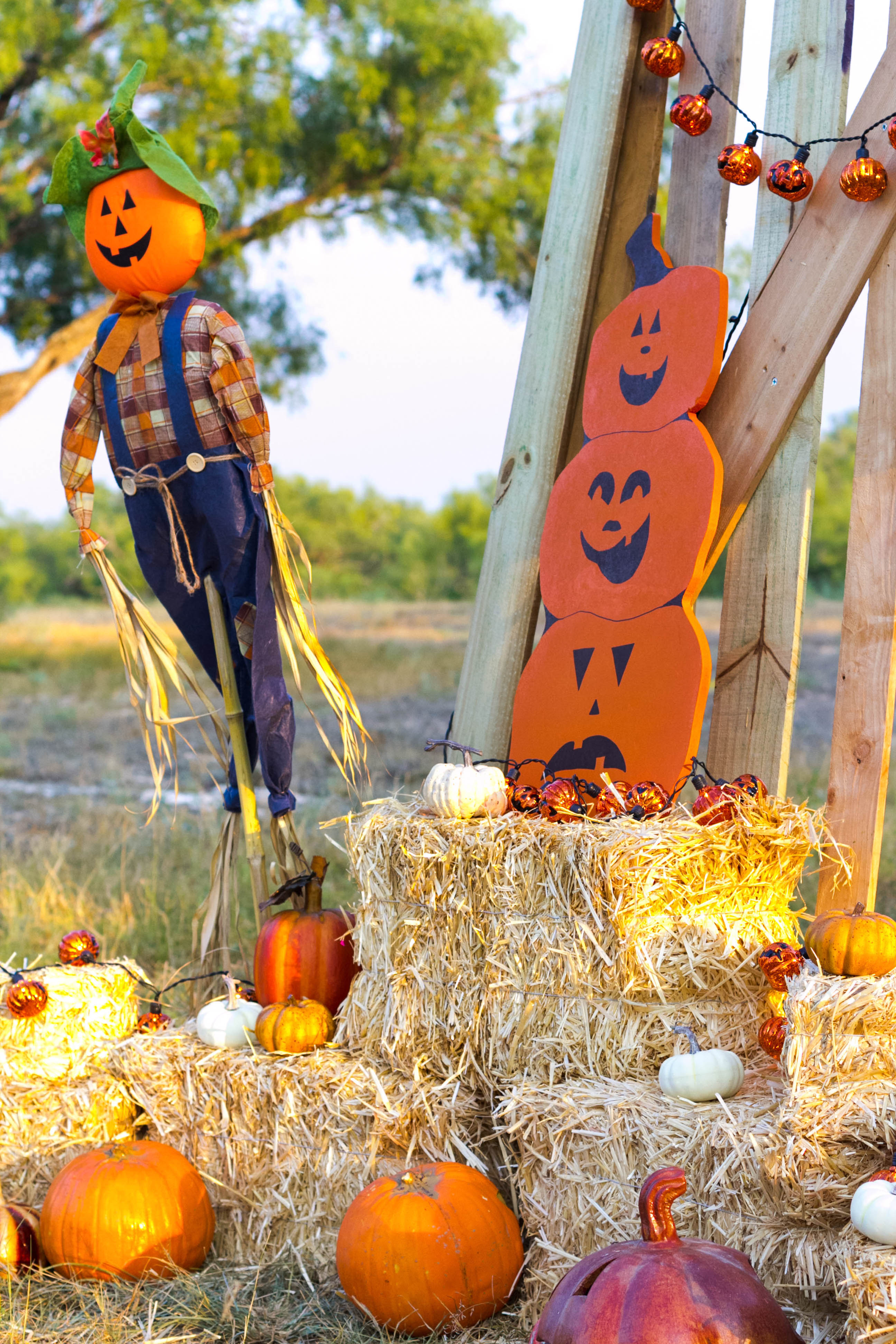 Halloween Pumpkin Patch Fall Decorating Ideas By Iris Nacole Com Iris Nacole 8032