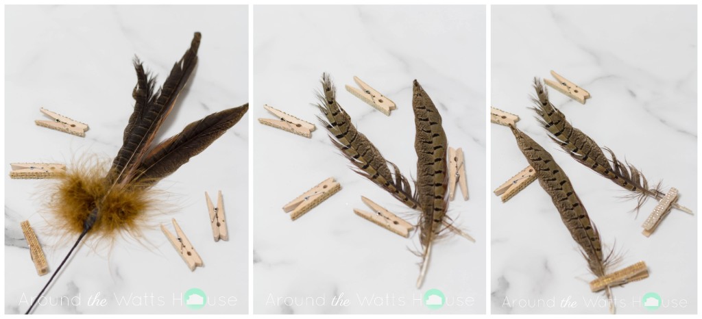 Cloth Napkin Decoration-Feathers & Clothespins