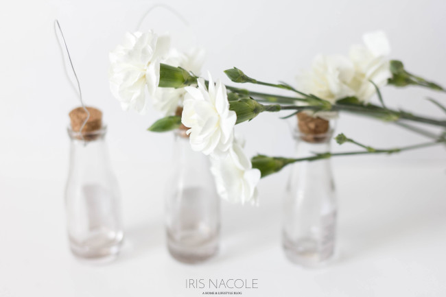 Hanging-Bottle-Flower-Vase-