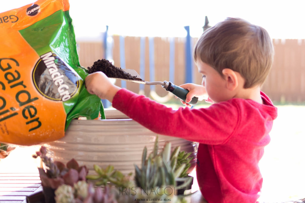 Succulent Garden-The Perfect Family Project!-IrisNacole.com