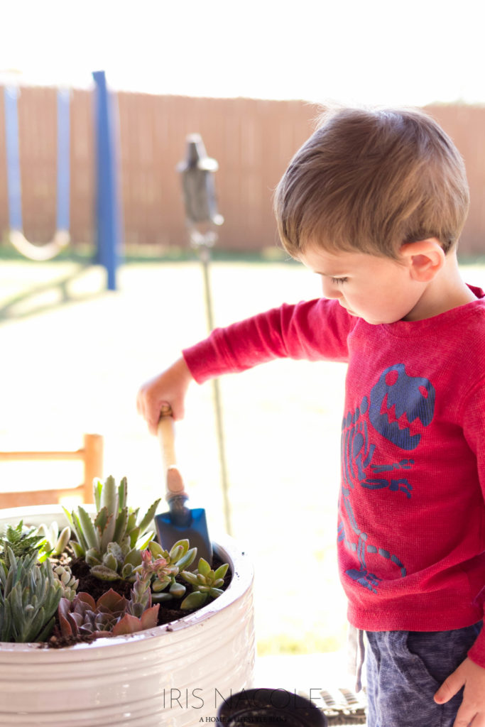 Succulent Garden-The Perfect Family Project!-IrisNacole.com