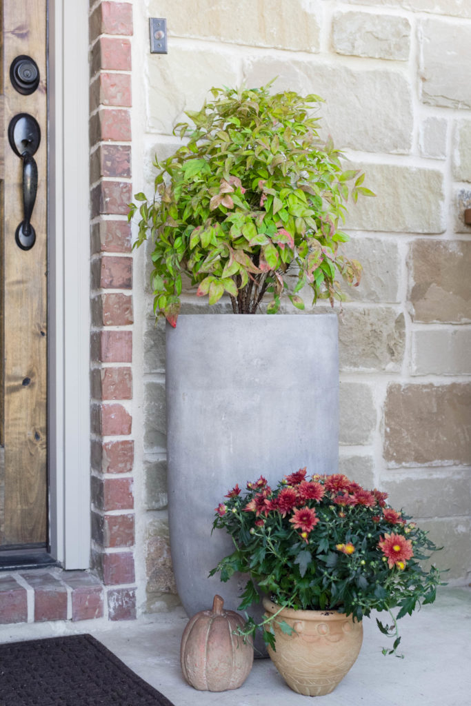 plants-pumpkins-porch-fall-home-tour-irisnacole-com