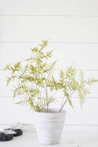 Learn how to create this faux fern arrangement, perfect for styling with this fall or anytime during the year! Tutorial by IrisNacole.com