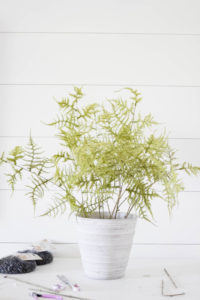 Learn how to create this faux fern arrangement, perfect for styling with this fall or anytime during the year! Tutorial by IrisNacole.com