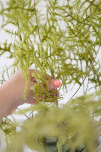 Learn how to create this faux fern arrangement, perfect for styling with this fall or anytime during the year! Tutorial by IrisNacole.com