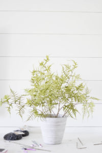 Learn how to create this faux fern arrangement, perfect for styling with this fall or anytime during the year! Tutorial by IrisNacole.com