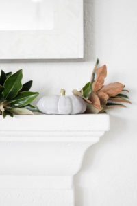 Simple Fall Decorating-Cement Pumpkins and Magnolia Branches by IrisNacole.com