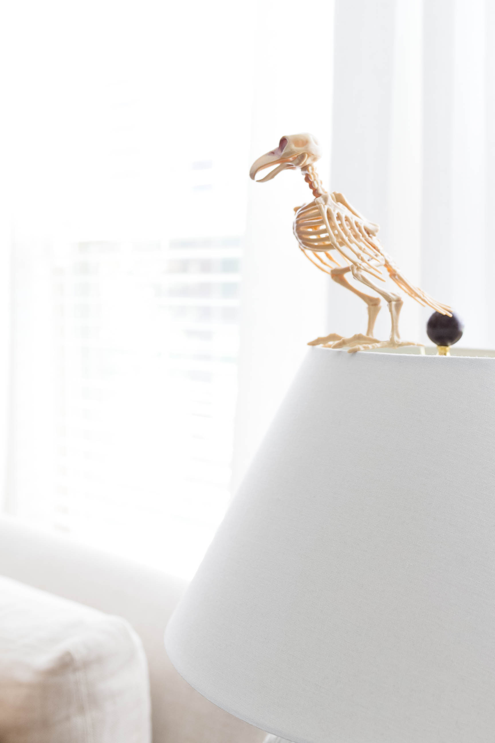 Simple Halloween Decorations for the Home-Bird Skeleton