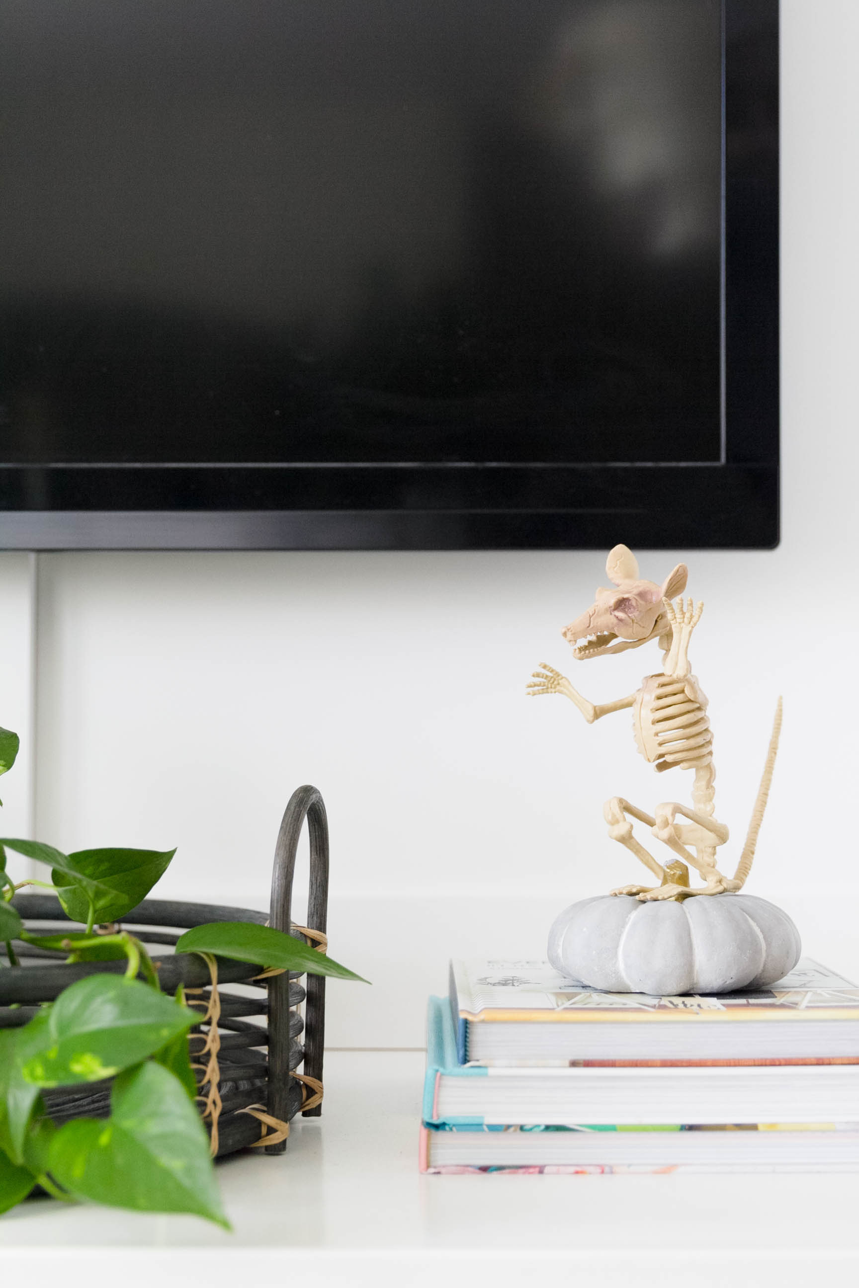 Simple Halloween Decorations for the Home-Rat Skeleton