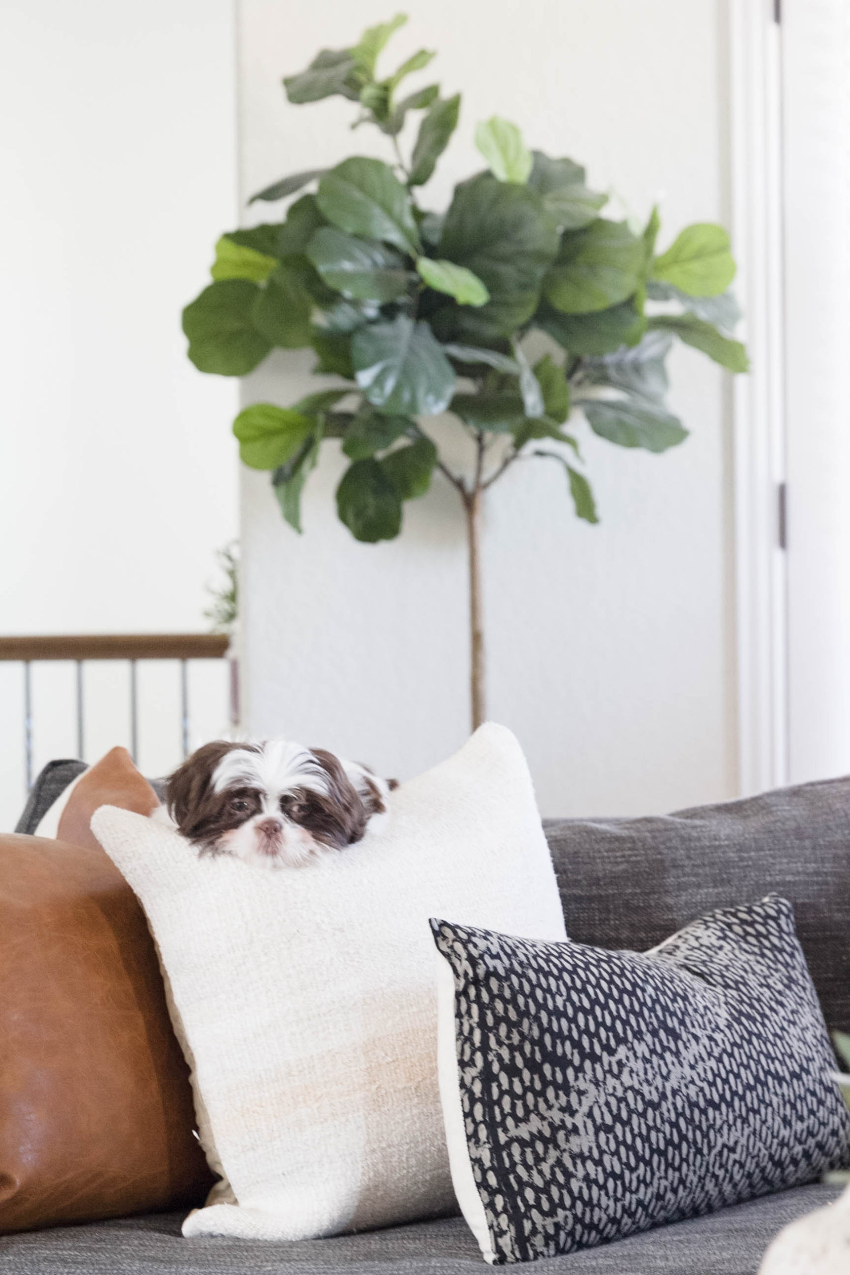 Bonus Room Makeover by Iris Nacole (Max the Puppy) Vintage Pillow Covers, Fiddle Leaf Fig, Sectional