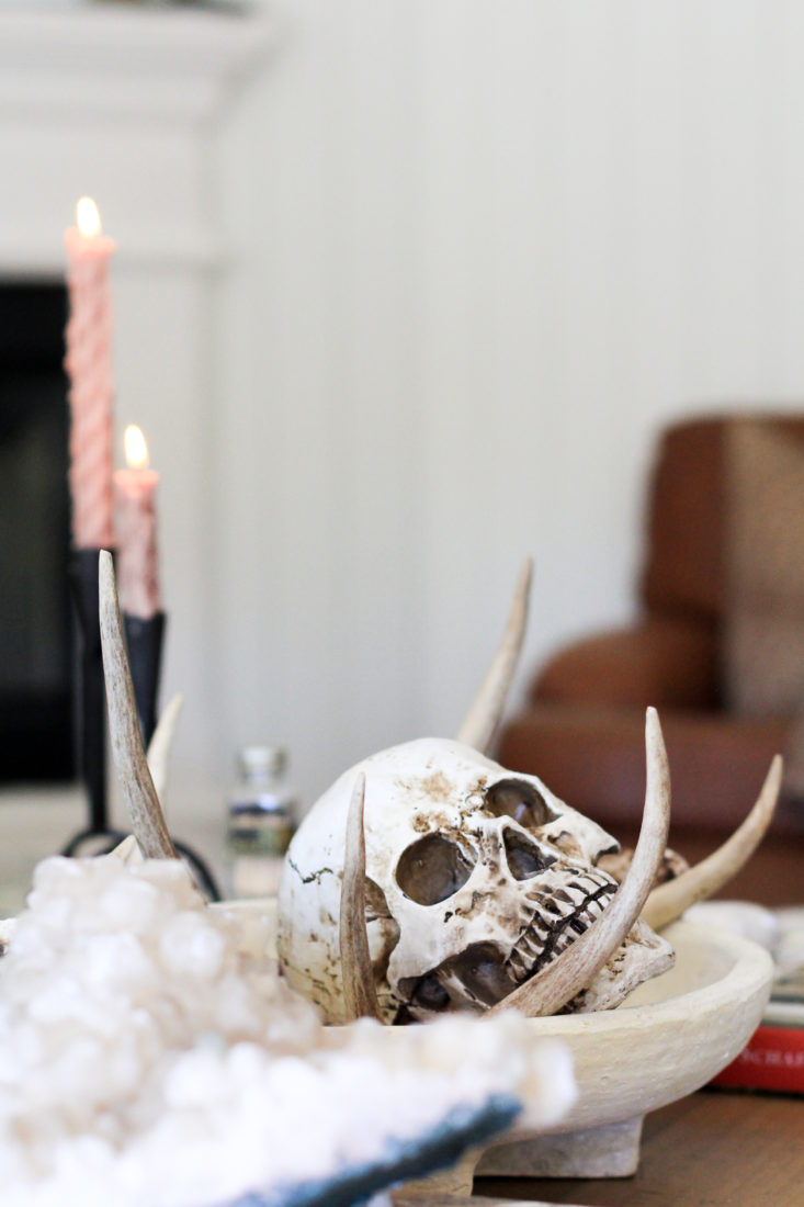 Interior Halloween Decor Skull on Coffee Table