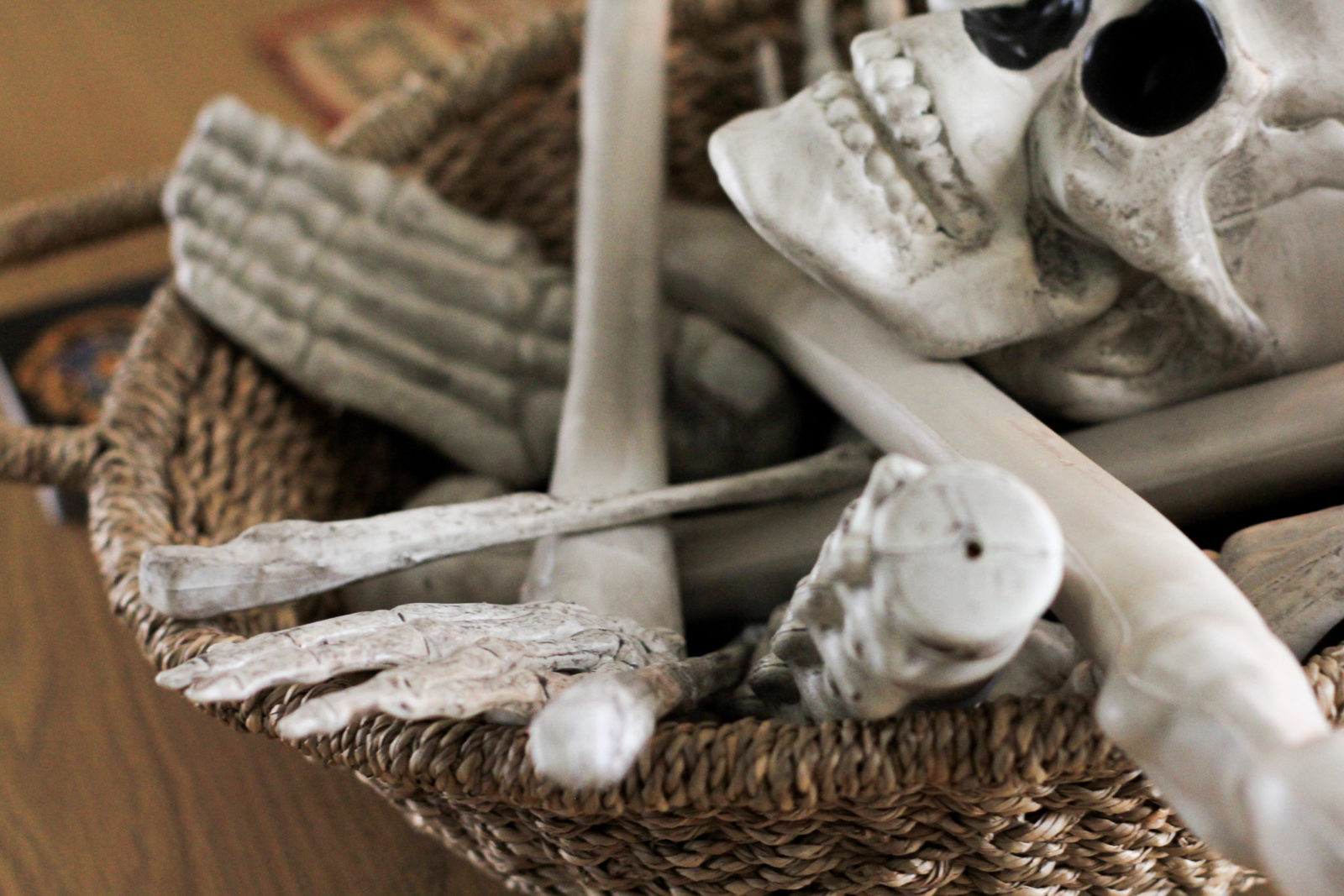 Basket of Faux Skeleton Bones