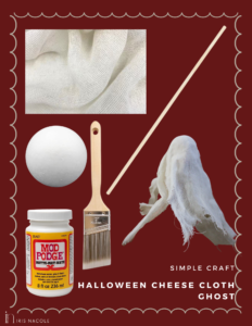 Cheese Cloth Ghost-Halloween Simple Craft Tutorial by Iris Nacole